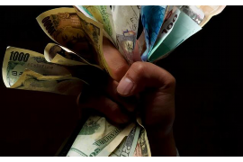 公告催收的适用情况 公告催收的适用情况