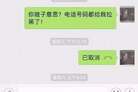 通城要钱公司排名前十名：揭秘金融界的佼佼者
