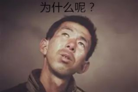 青秀清数公司排名:揭秘行业佼佼者,助力企业精准决策 青秀清数公司排名:揭秘行业佼佼者,助力企业精准决策