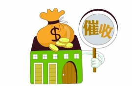 银行催收法律意见：合规操作与权益保护