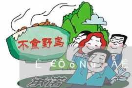 讨债去村里喷漆违法吗?法律视角下的讨债行为 讨债去村里喷漆违法吗?法律视角下的讨债行为