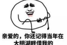 平安普惠客服催收专员：专业、高效、温馨的服务体验